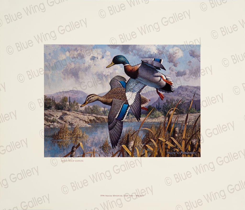 1994 ARIZONA WATERFOWL STAMP LITHOGRAPH Harry C. Adamson