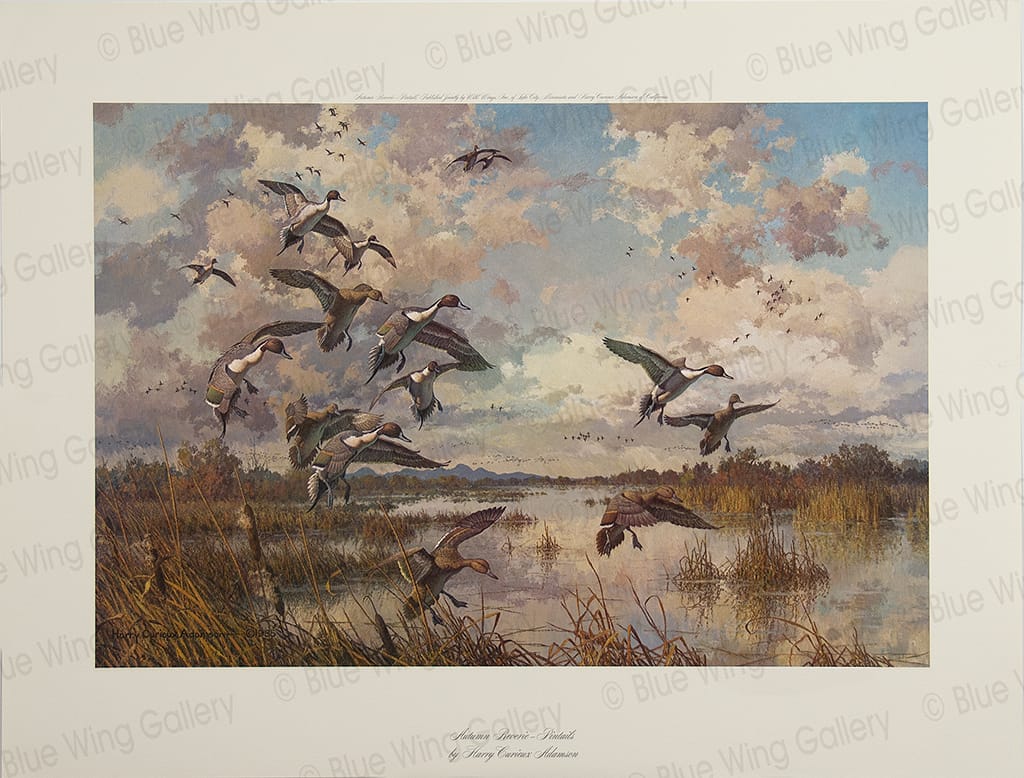 AUTUMN REVERIE PINTAILS – LITHOGRAPH