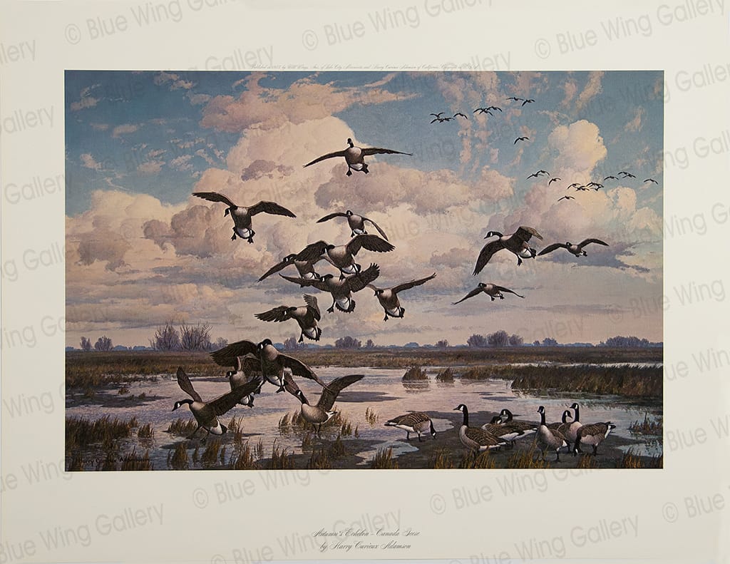 Autumn Eschelon - Canada-Geese By Harry Curieux Adamson