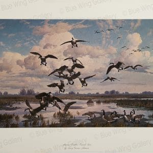 Autumn Eschelon - Canada-Geese By Harry Curieux Adamson