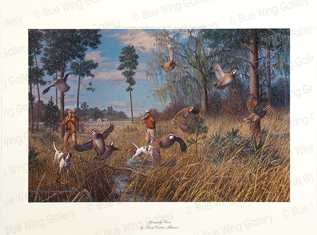 Broomsedge Cover By Harry Curieux Adamson