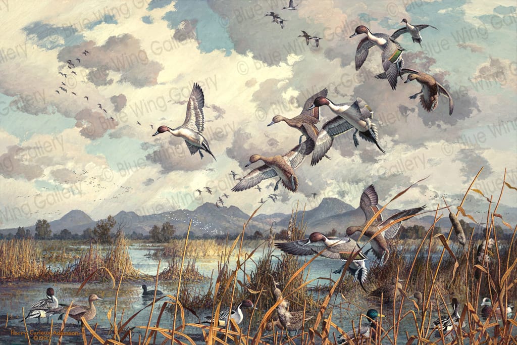 Butte Sink Tableau • Canvas Giclée