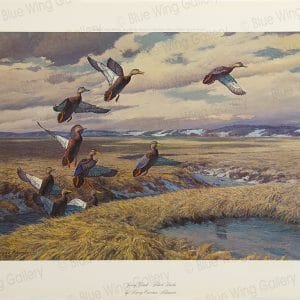 Jersey Coast - Black-Ducks By Harry Curieux Adamson