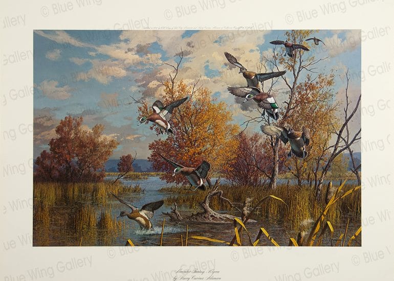 November Fantasy - Wigeon By Harry Curieux Adamson