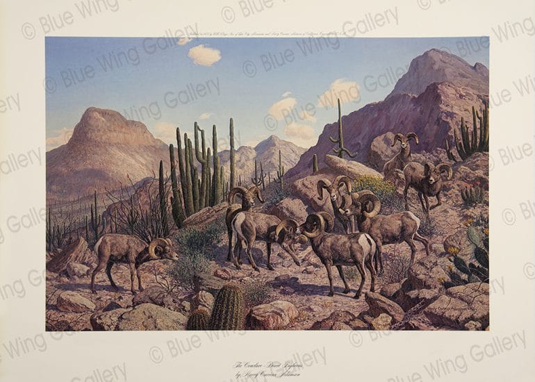 The Conclave - Desert Bighorns By Harry Curieux Adamson