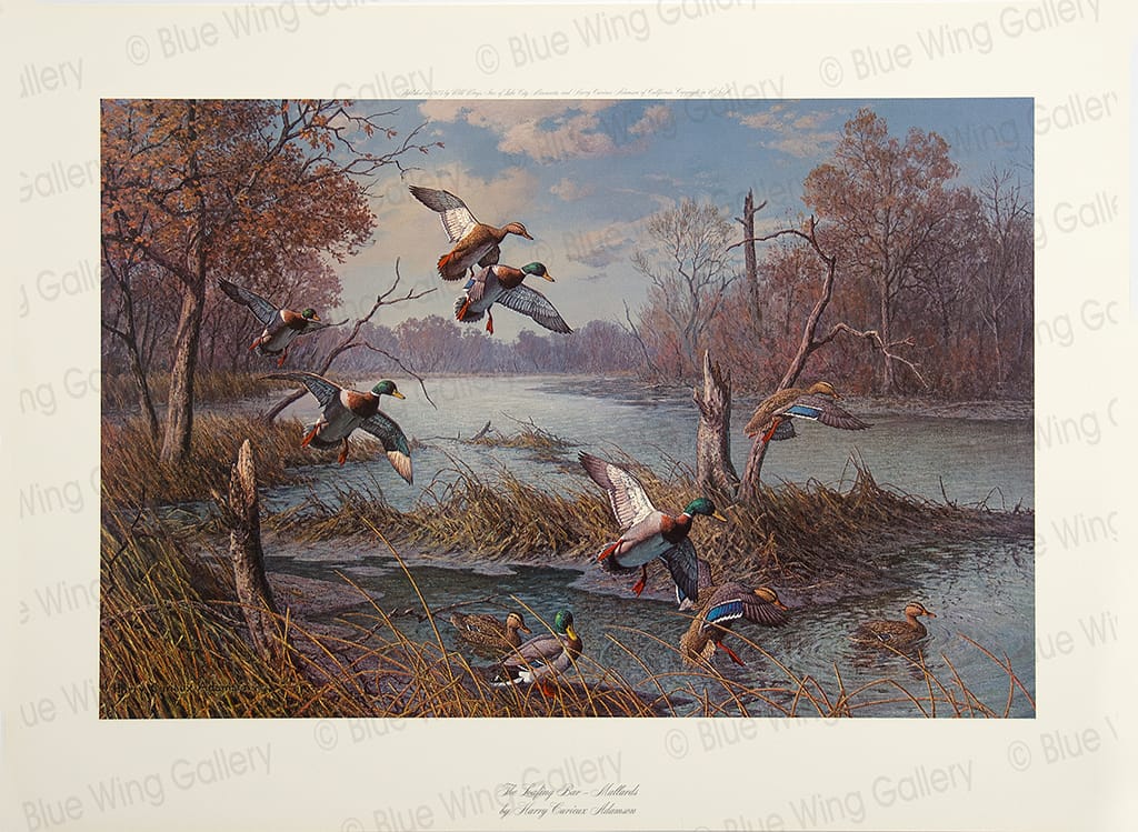 The Loafing Bar - Mallards By Harry Curieux Adamson