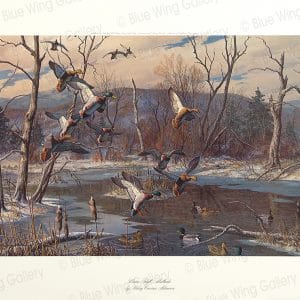 Winter Idyll - Mallards By Harry Curieux Adamson
