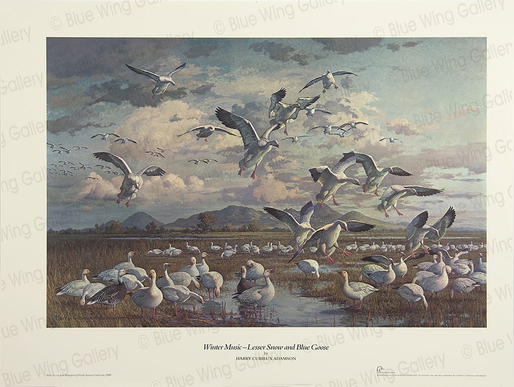 WINTER MUSIC – LESSER SNOW AND BLUE GOOSE – LITHOGRAPH